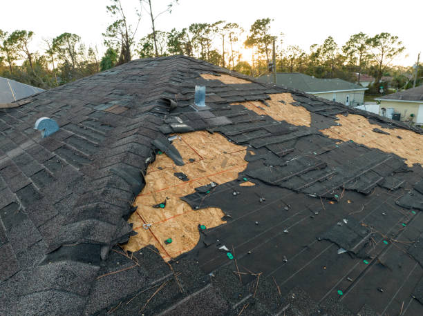 Best Solar Panel Roofing Installation  in Midfield, AL